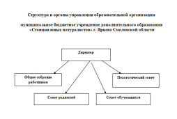 Общее собрание работников - 
председатель - Григорьева Мария Сергеевна, заместитель директора 

Педагогический совет – 
председатель – Киселева Валентина Александровна, директор

Совет родителей – 
председатель – Борисова Евгения Владимировна

Совет обучающихся - 
председатель - Ланге Мария Алексеевна