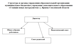 Общее собрание работников - 
председатель - Григорьева Мария Сергеевна, заместитель директора 

Педагогический совет – 
председатель – Киселева Валентина Александровна, директор

Совет родителей – 
председатель – Шаповалов Евгений Владимирович